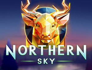 Northern Sky