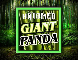 Untamed Giant Panda